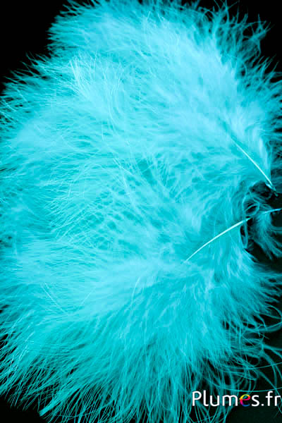 Tacchino marabù – 8-12 cm – petrolio